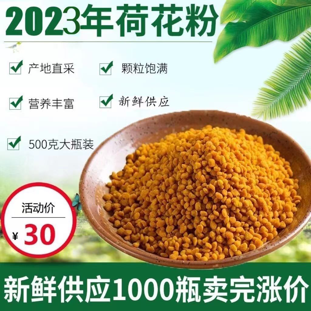 新鲜荷花粉2021食用莲花纯粉女