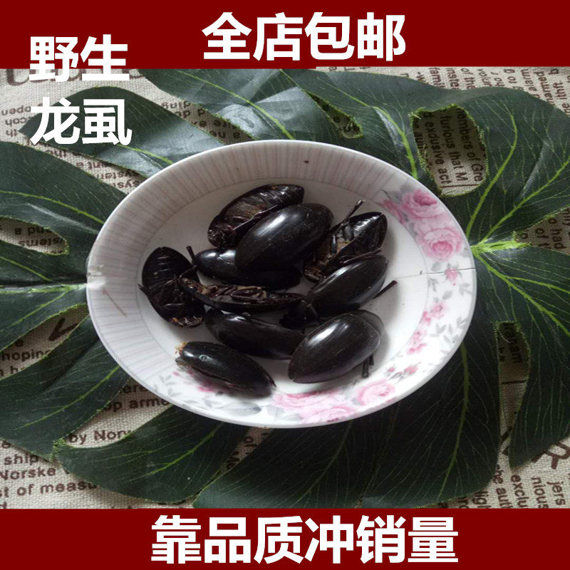 中药材 新货正品纯干龙虱 龙虱 水鳖虫 射尿龟 500g包邮免费打粉