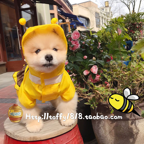 轻薄雨衣雨衣轻薄中大型犬