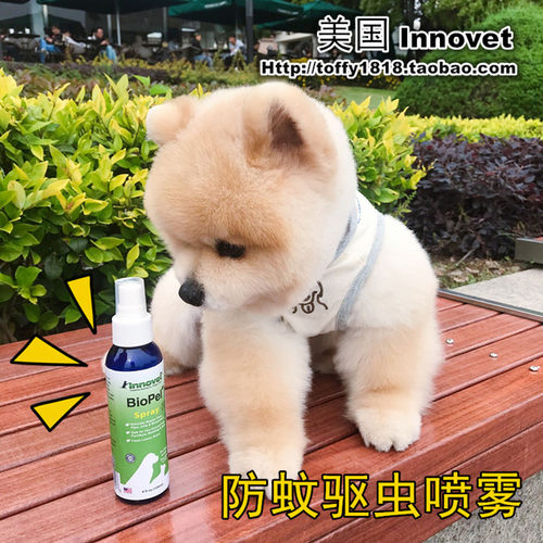 Bear toffy Pet宠物猫狗体外驱虫喷雾防蚊虫驱跳蚤外出喷剂便携装