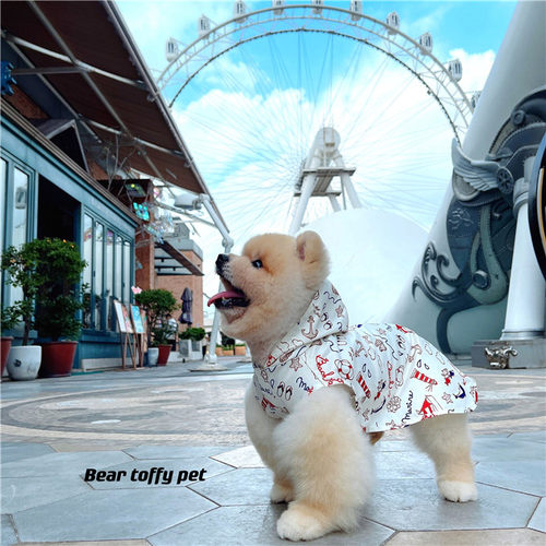 柯基雨衣边牧连帽轻便中大型犬