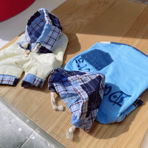 凉感日本潮牌宠物衣服衬衫假两件