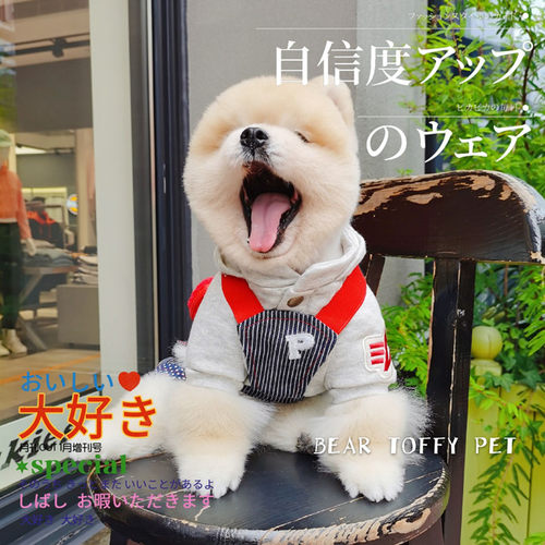 日单毛圈棉连帽卫衣大型犬猫狗