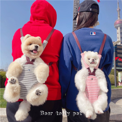 beartoffypet宠物背带抱娃神器狗
