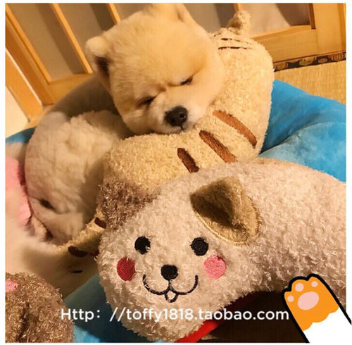 beartoffy颈枕睡眠伴侣靠垫狗狗