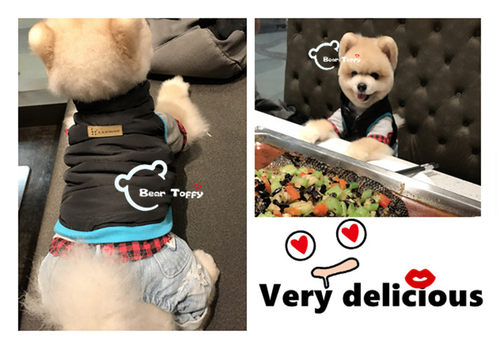 宠物衣服猫咪狗狗保暖棉衣马甲