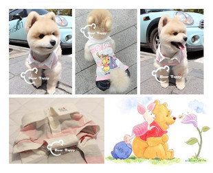 polo衫 Bear 猫狗夏天透气薄款 toffy 中大型犬 Pet日单宠物衣服