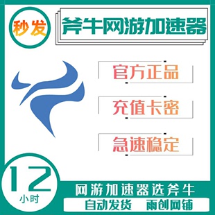 网游加器速 十二小时 充值 会员CDK卡密激活码 斧牛加速器 12小时