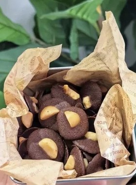 夏威夷果可可脆片巧克力休闲网红零食好吃到爆手工制作
