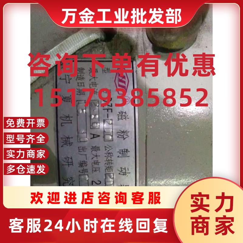 议价磁粉制动器DZF1-200-12-FL25K-DZF-50-FZ100-6