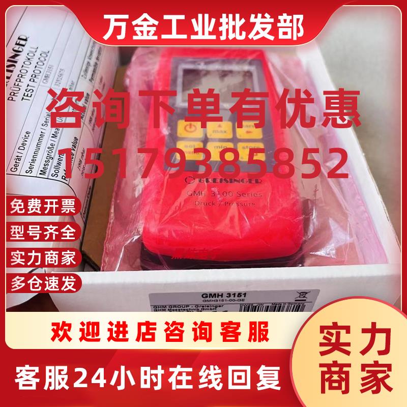议价装GREIS原INGER GMH311压力E表GREISINGR 1MSD 25BAE探头议价