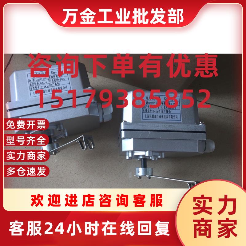 议价SM-10电动执行器比例调节马达