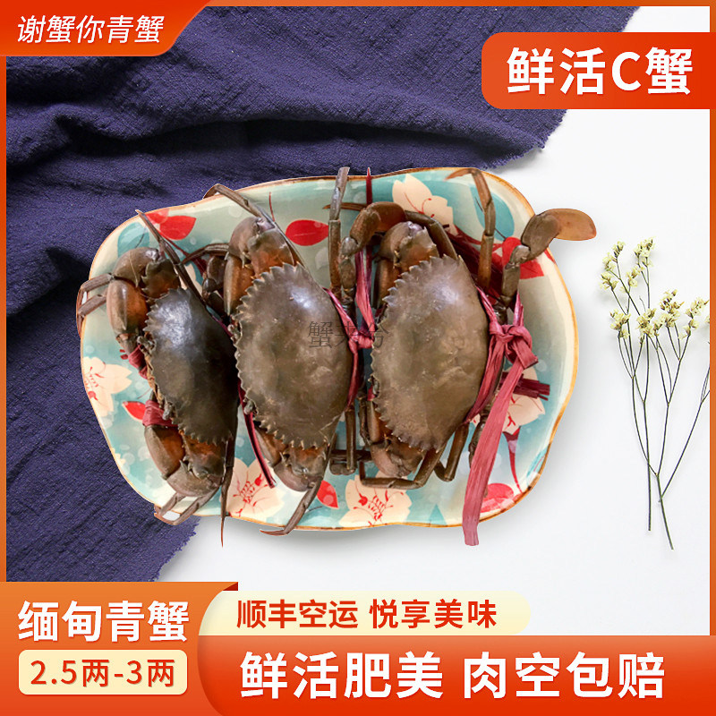 C蟹缅甸孟加拉青蟹鲜活螃蟹野生1只装海蟹140g左右香辣蟹顺丰空运
