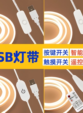 5v语音灯带装饰硅胶霓虹灯遥控开关usb调光控制触摸调亮度软灯条