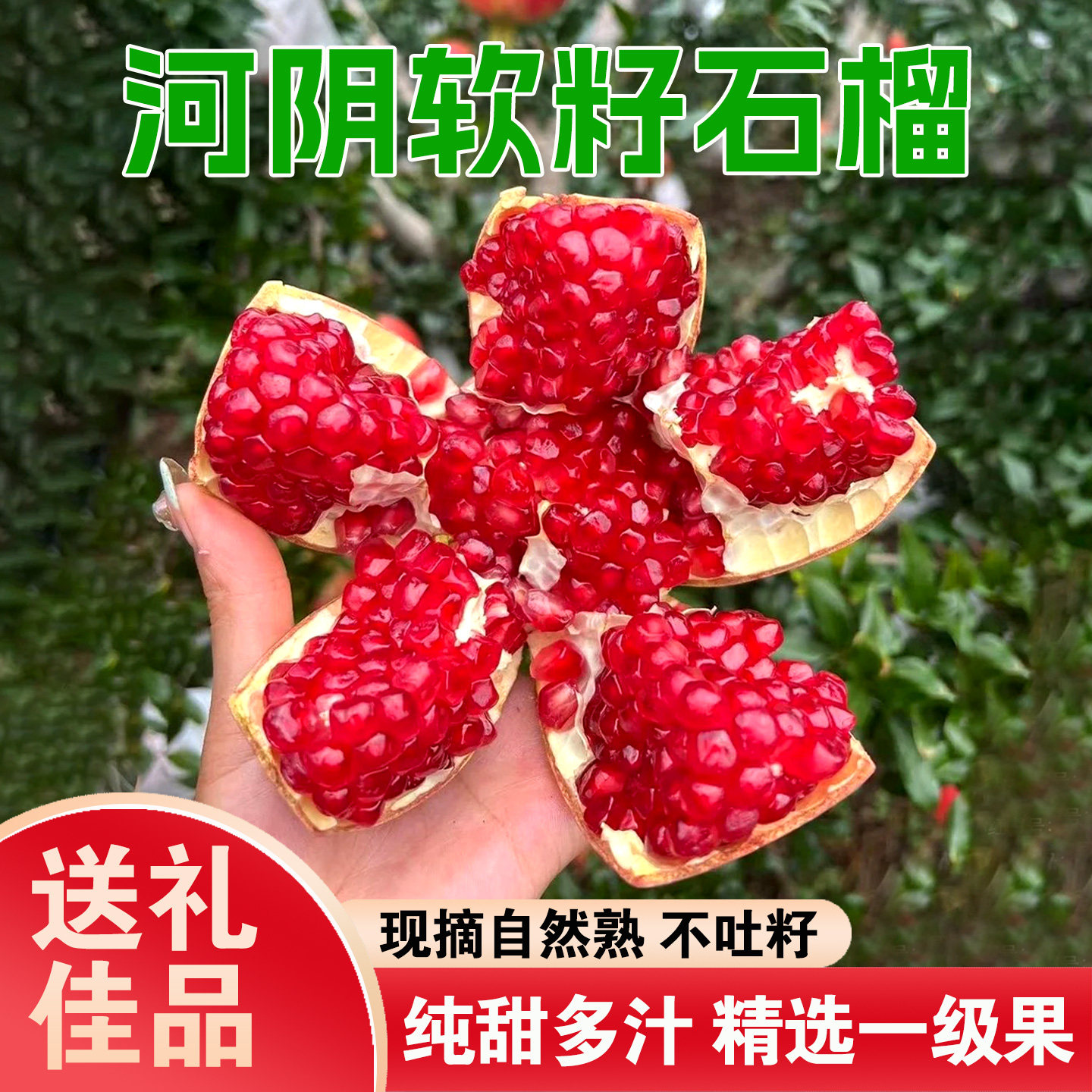 荥阳河阴软籽石榴新鲜水果当季会理突尼斯软子红石榴包邮现摘现发