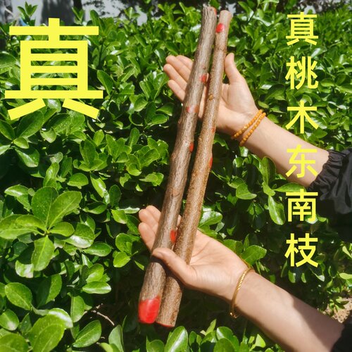 泰安老桃木纯手工制作东南枝