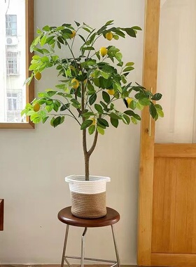 西西里加州仿真柠檬树盆栽室内家居装饰落地摆件植物盆栽室内绿植