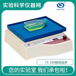海门其林贝尔TS-100脱色摇床数显回旋摇床原TS-6型40-240转分调速