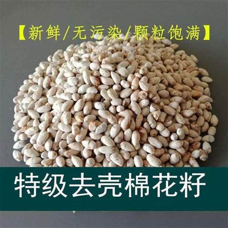 去壳棉花籽偏方食用去皮药用生棉花子仁籽棉花子棉花仔儿棉仁心脏