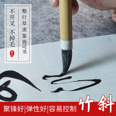 竹斜统考校考艺考考试专用聚锋好