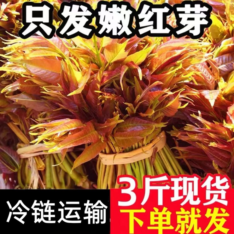 香椿芽新鲜香椿野生露天头茬春芽红油现摘现发应季特产蔬菜香椿 水产肉类/新鲜蔬果/熟食 香椿芽 原图主图