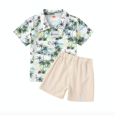 Summer boy T-shirt Shorts Kids Baby Boys Clothes Sets