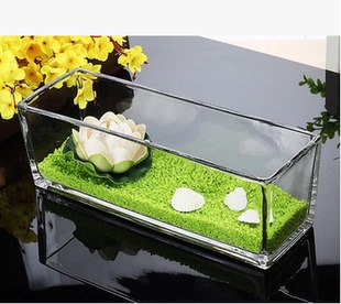 植物花器绿萝水仙 包邮 S缸 透明水培玻璃花盆花瓶乌龟缸长方形缸