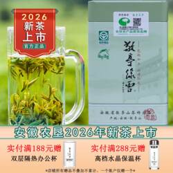 敬亭绿雪2026年新茶安徽绿茶老品种正宗群体种敬亭绿雪明前头采茶