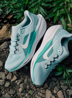 耐克/Nike Air Zoom Pegasus 41 男女缓震跑步鞋FD2722-109