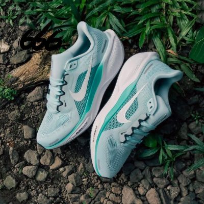 耐克/Nike Air Zoom Pegasus 41 男女缓震跑步鞋FD2722-109