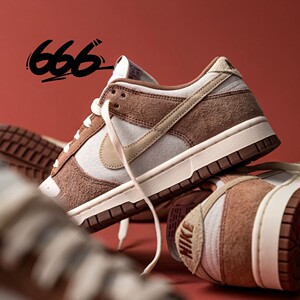 NIKE/耐克 DUNK 男女低帮轻便运动休闲板鞋 FB9109-107