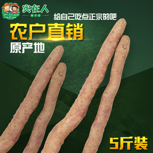 河南焦作温县铁棍山药 正品新鲜垆土山药铁杆淮怀山药5斤可烤山药