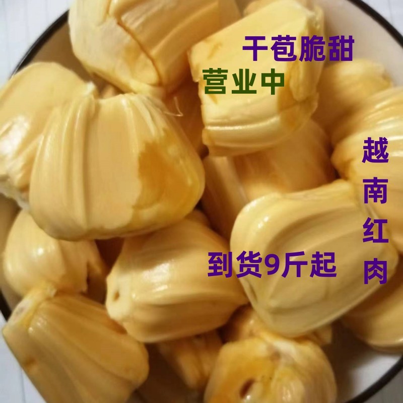 9斤起越南干苞脆甜红肉菠萝蜜老果短圆大苞木菠萝一整个新鲜包邮
