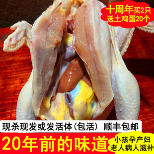 土鸡农家散养新鲜鲜活现杀孕妇月子鸡走地鸡草鸡公鸡活鸡老母鸡