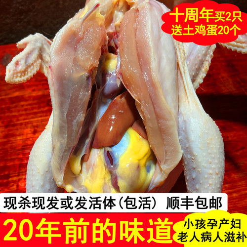 鲜活现杀或活鸡发货月子鸡老母鸡