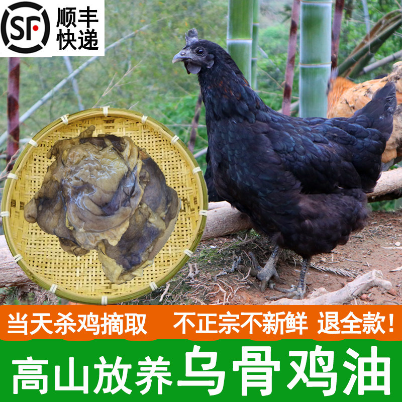 乌骨鸡老母鸡新鲜鸡油2斤 - 实物图