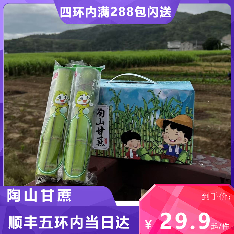 陶山甘蔗新鲜水果当季应季