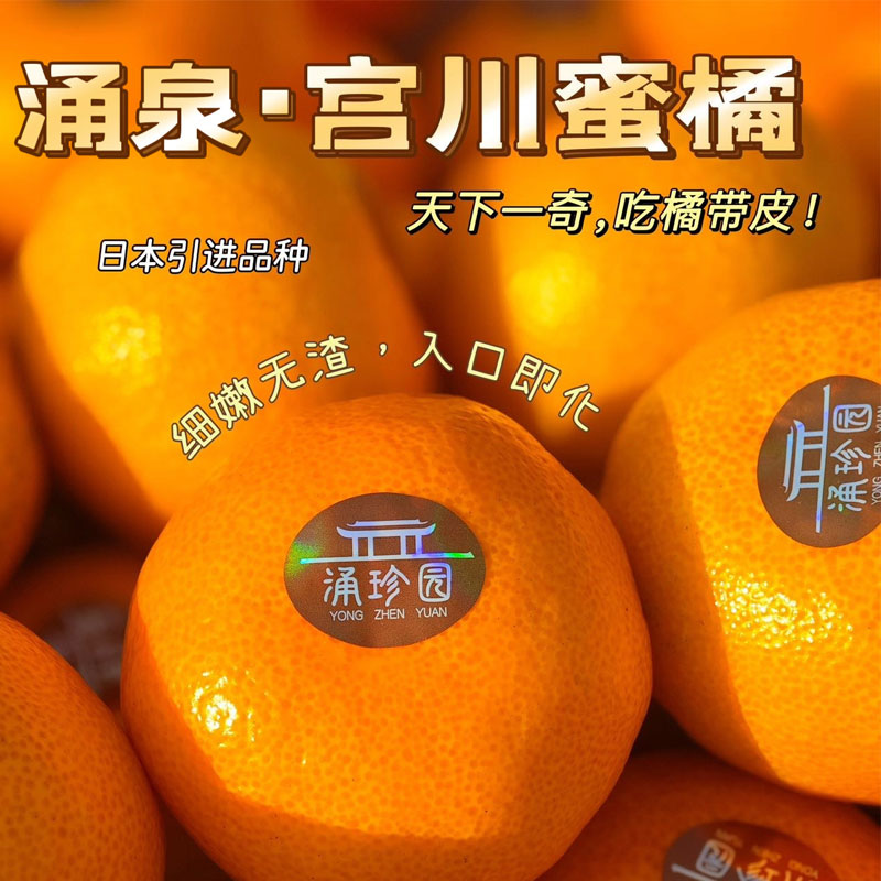 涌泉宫川蜜橘3.5斤包邮