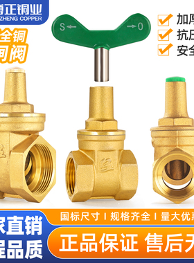 博正阀门BZ3040黄铜锁闸阀丝口防偷盗锁闭阀SZ15W-16T水表防盗阀