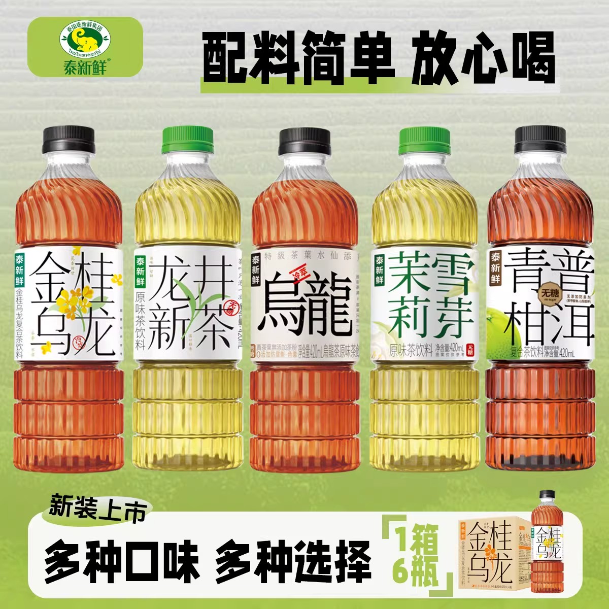泰新鲜新茶龙井/茶青柑普洱/茉莉图片