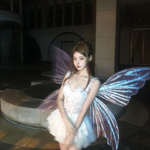 精灵仙子cosplay天使翅膀成人万圣节表演道具蝴蝶翅膀拍摄写真