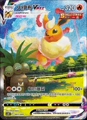 Fire Eevee Vmax (Single Card)