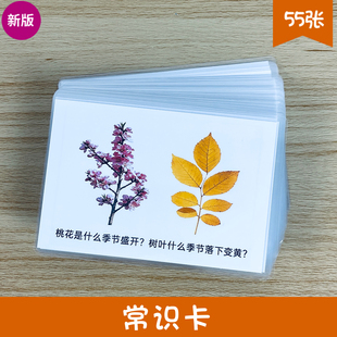 基础常识认知卡 宝宝益智早教语言迟缓教具 儿童逻辑思维训练卡片
