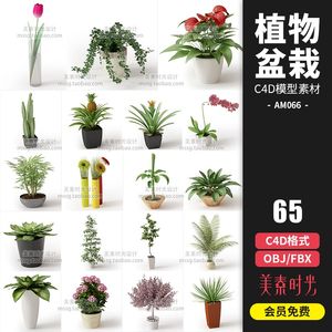 室内植物绿植花卉鲜花盆栽装饰摆件C4D模型fbx obj 3D素材AM066