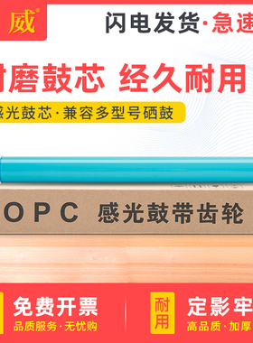 适用佳能319鼓芯LBP6300dn LBP6650dn 6670dn LBP253dw 252dw 251dw MF415dw 412dn MF5950dw 5870dn 5930dn