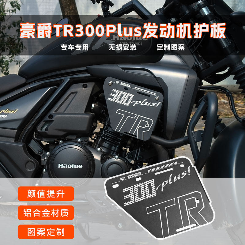 豪爵tr300/plus前保险杠装饰盖