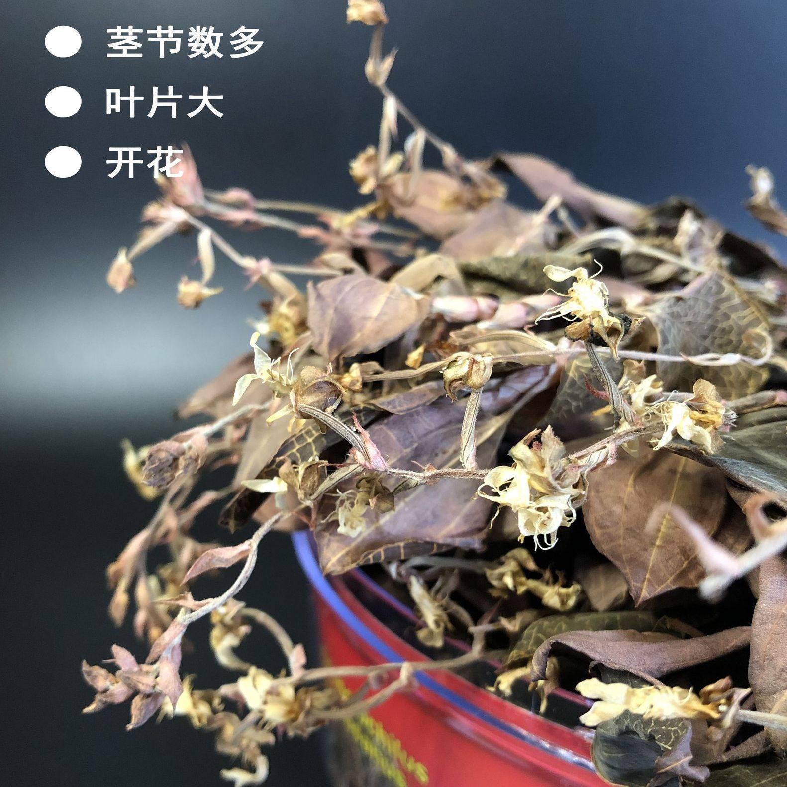 正宗福建金线莲开花整株干品林下原生态种植24个月养生茶礼盒装