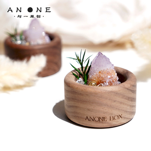 南非仙人掌 紫水晶摆件原石天然矿物晶体小豆丁精灵水晶晶簇迷你