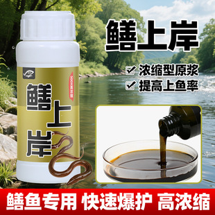 鳝上岸钓鱼巨物上岸鳖大鲤草青鲢鳙罗非鳝鱼钓鱼小药水诱食