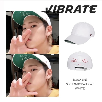 Vibrate秋冬搞笑棒球帽韩国